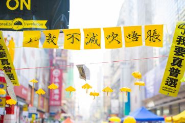 Photo David Law: Wikimediacommons