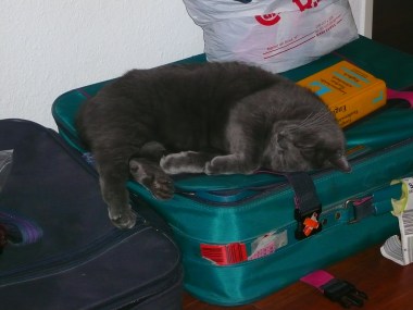 3813934377_b40fb8e2e5_b