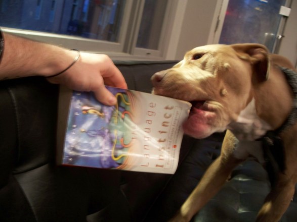 3621023561_8bd4ece5b1_b